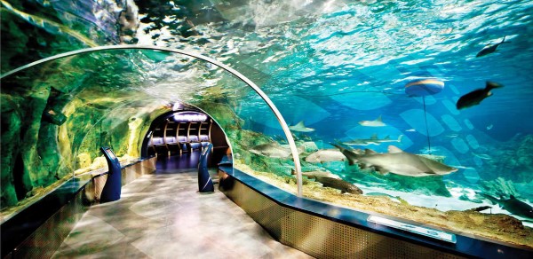 Istanbul Aquarium Florya