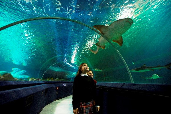 Istanbul Aquarium Bayrampasa 