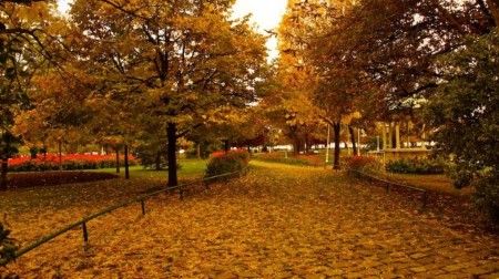 الخريف في اسطنبول 